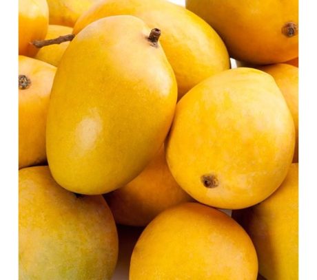 Mango Anwar Ratol
