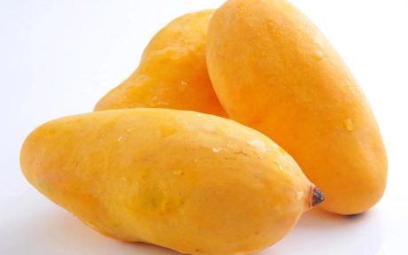 Pakistani Mango