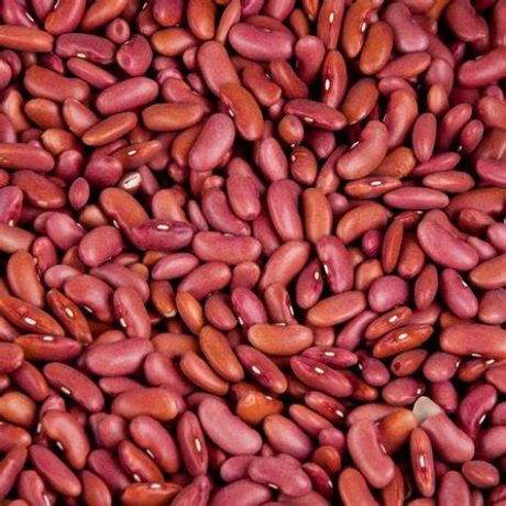 Red Kidney Beans Light 4lb