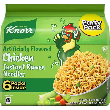 Knorr Chicken Noodles 300GM